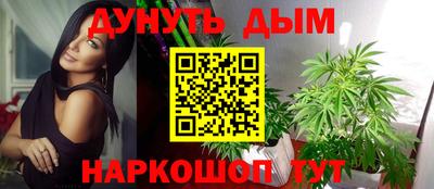 хмурый Кингисепп