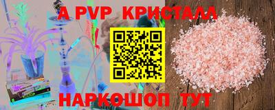 хмурый Кингисепп
