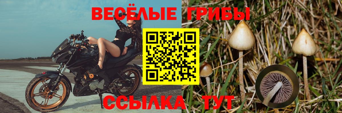 Галлюциногенные грибы мицелий Красный Сулин