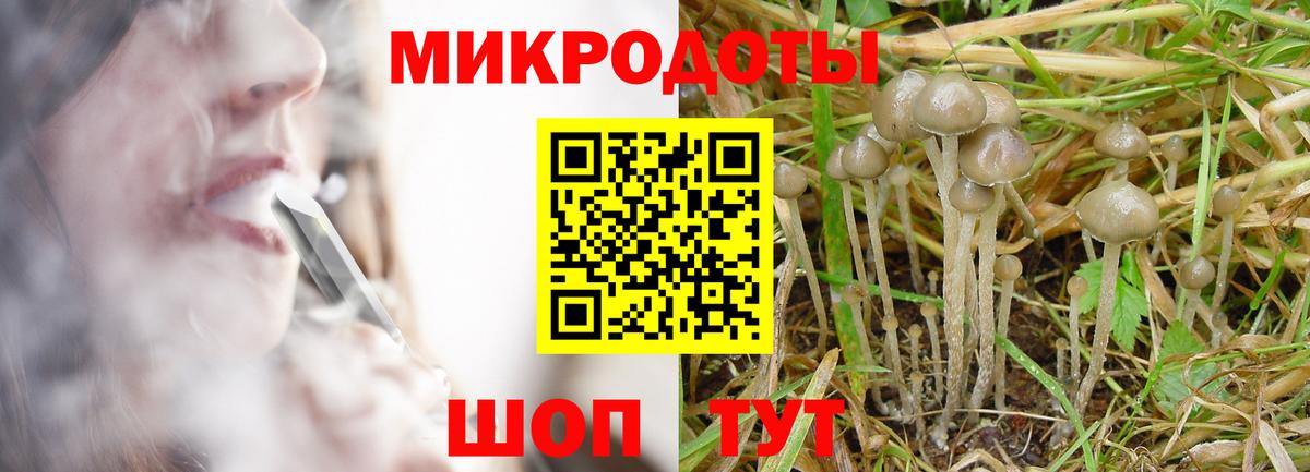 Красный Сулин  Псилоцибиновые грибы GOLDEN TEACHER  Вход с VPN 